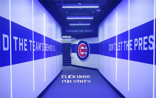 Minnesota Twins